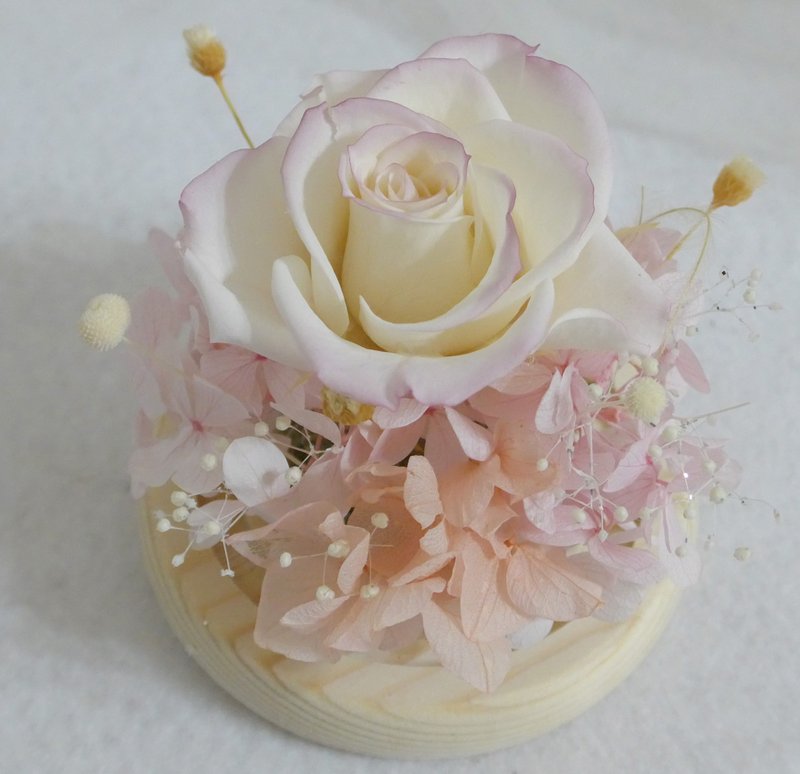 情人節禮物花束永生玫瑰玻璃盅罩紫愛你 結婚捧花永生乾燥花情人 - 乾燥花/永生花 - 植物．花 粉紅色