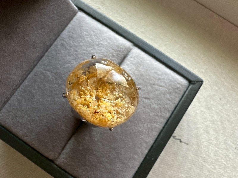黃龍幽靈水晶-滿礦型-Golden Phantom Quartz- Full Inclusi - 戒指 - 水晶 