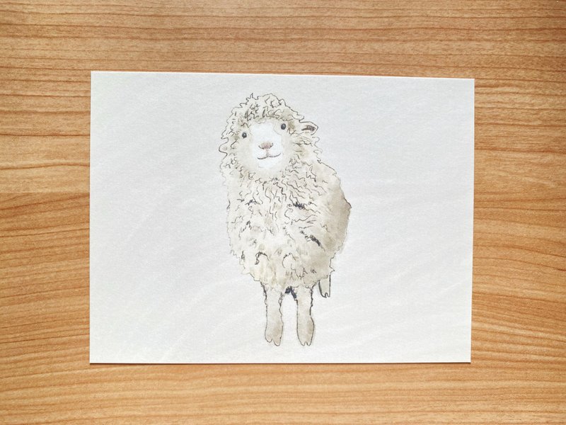 Sheep bleating postcard - การ์ด/โปสการ์ด - กระดาษ สีกากี