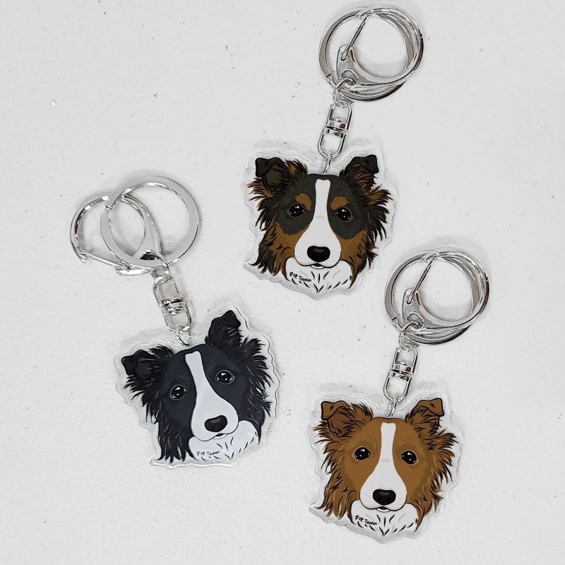 Border Collie 3 coat colors self-made pet multi-picture double-sided Acrylic key ring / charm / tag - อื่นๆ - พลาสติก หลากหลายสี