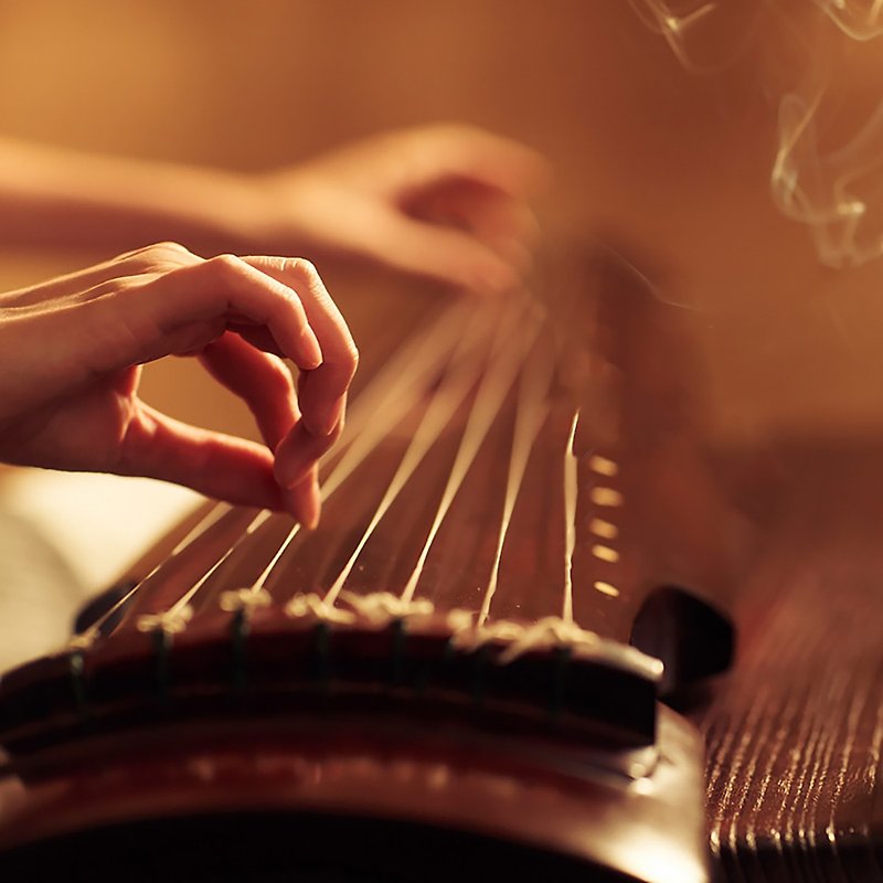 [Guzheng Experience Course] One-on-one class - Other - Other Materials 
