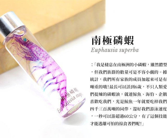 【極希少・極美品】小魚の標本　小瓶　Carassius auratus 極希少・極美品】小魚の標本 小瓶 Carassius auratus 採集・採集道具