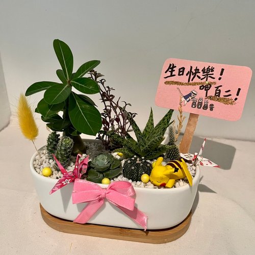 墨池遊工作室 皮卡丘 寶可夢 開幕送禮 多肉組盆 多肉植物 創意盆栽 盆栽送禮