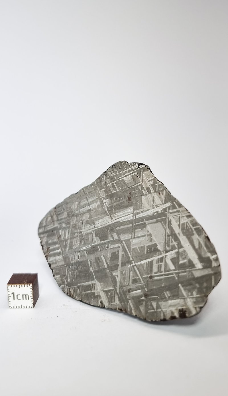 Muonionalusta meteorite, Sweden. Slice 80.55 grams - อื่นๆ - โลหะ 