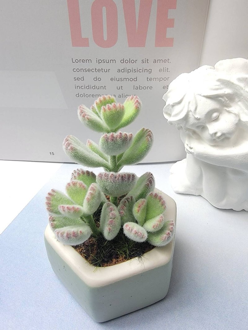 Cold porcelain clay/clay flower art-succulents series-Xiong Tongzi-small potted plants/gifts - Plants - Clay 