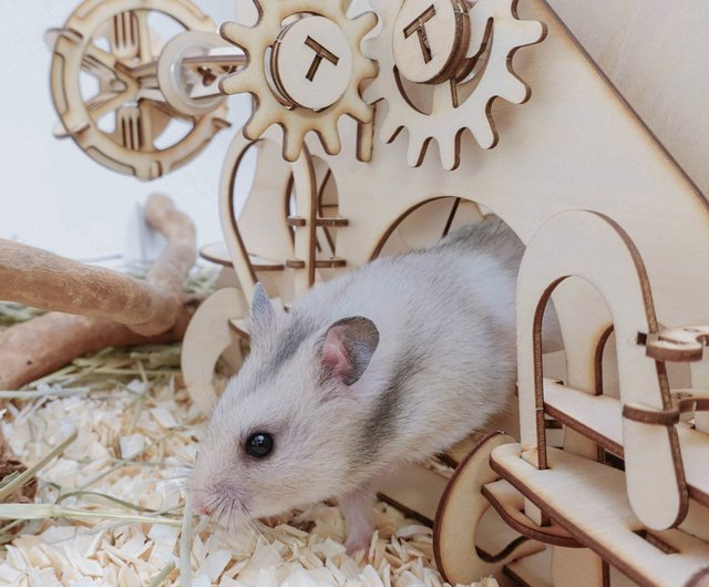 Hamooi Handmade Series Multifunctional Hamster Roller Xiao Xiu