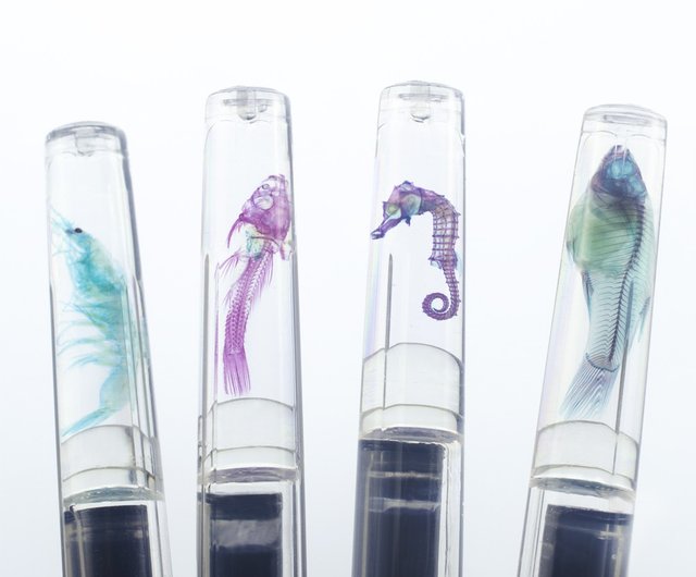 カイル×SKB 透明標本ペン ギフトボックス 6色の蚊魚ペン付き