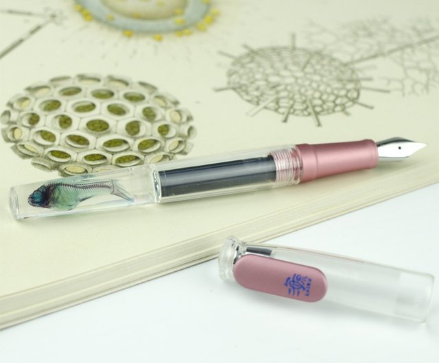 カイル×SKB 透明標本ペン ギフトボックス 6色の蚊魚ペン付き