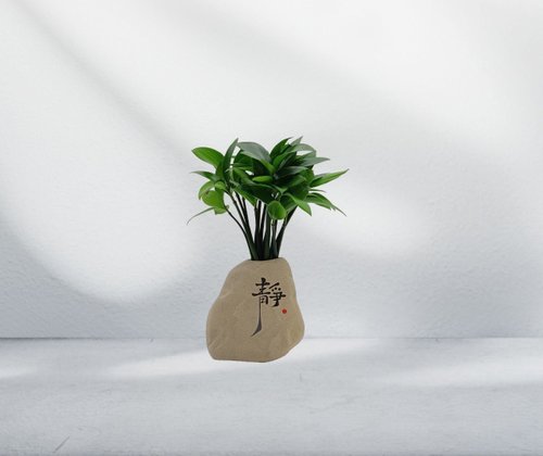 植覺 竹柏植栽 陶藝關公 奇木 風化黃連木