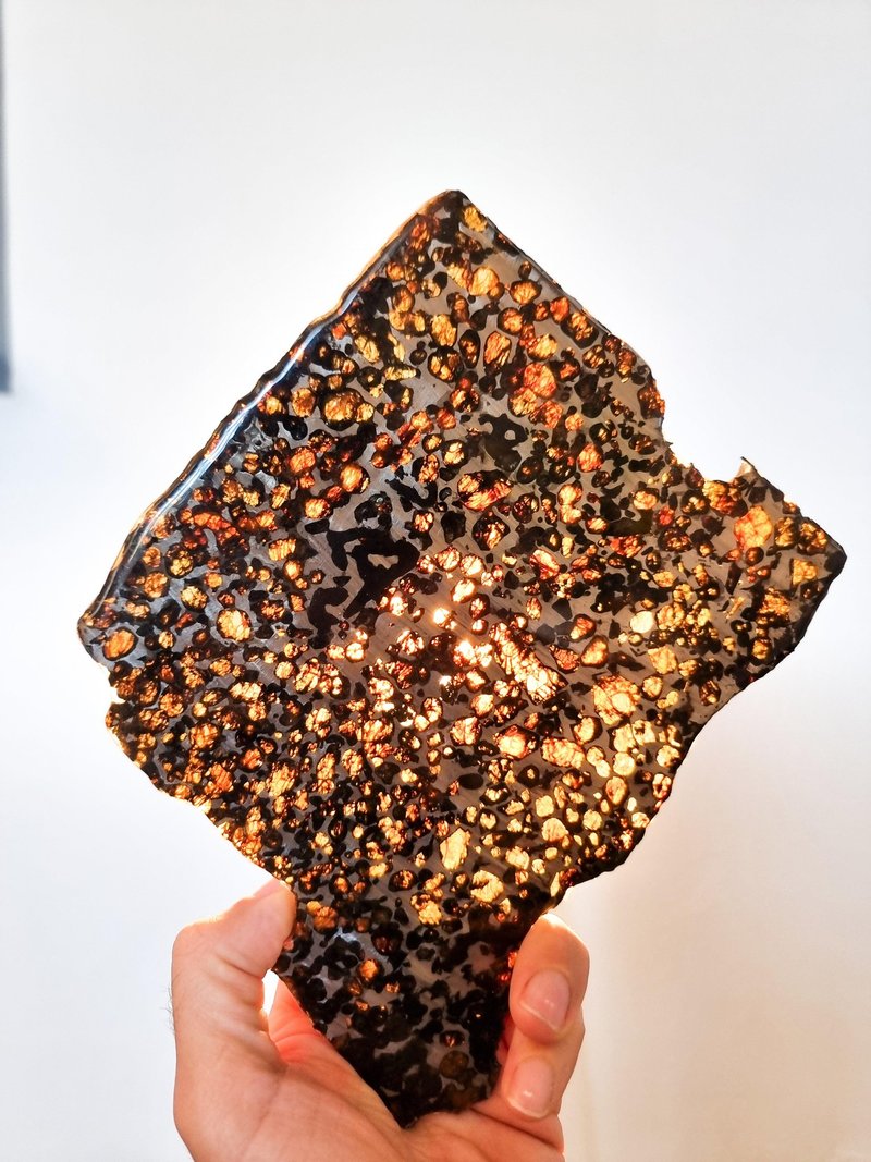 Sericho Pallasite meteorite, Kenya. 284grams slice. - Items for Display - Other Materials 