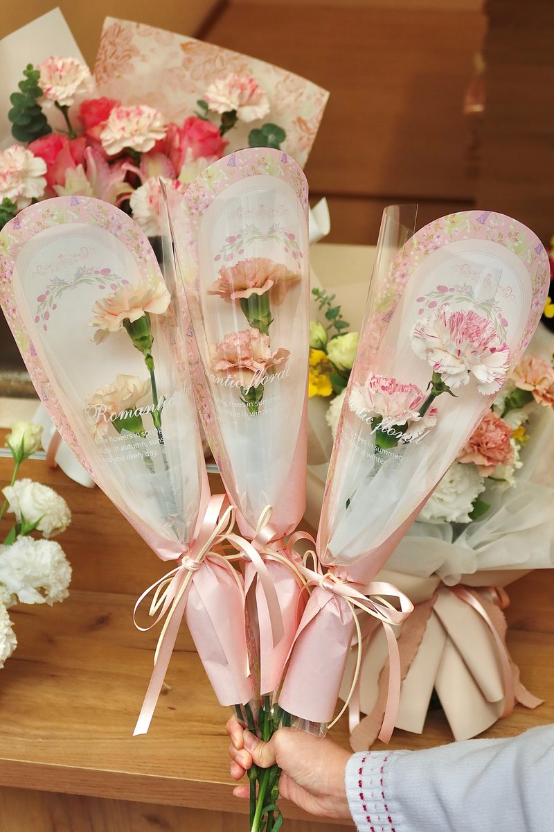 暖心小花束 康乃馨單枝鮮花花束 附包裝 - 乾燥花/永生花 - 植物．花 粉紅色