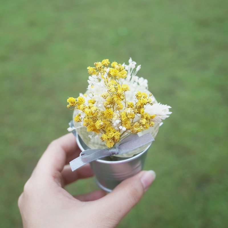 [Q-cute] Dry Flower Small Pot Series - Full Sky Stars - ของวางตกแต่ง - พืช/ดอกไม้ สีเหลือง
