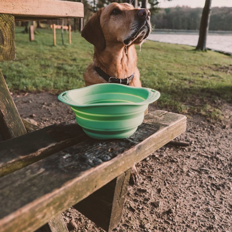 Natural Rubber Eco-Friendly Travel Bowl/Pet Bowl/UK Beco Pets - Pet Bowls - Eco-Friendly Materials Khaki