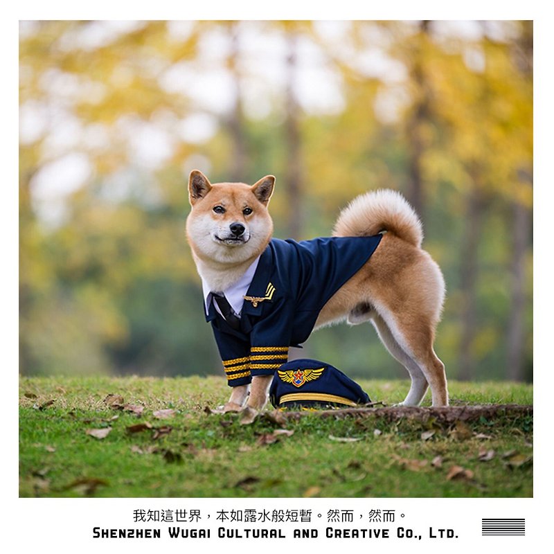 Well this exclusive custom Shiba Inu corgi dog suit suit clothes Japanese cotton - ชุดสัตว์เลี้ยง - ผ้าฝ้าย/ผ้าลินิน 
