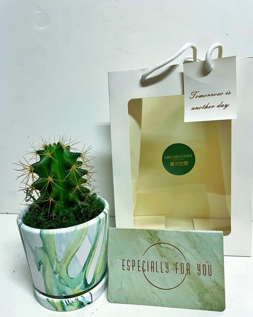 ORCHID CHEN 蘭沉空間 【大理石紋渲染造型】仙人掌多肉植物系列 送禮自用擺設防小人