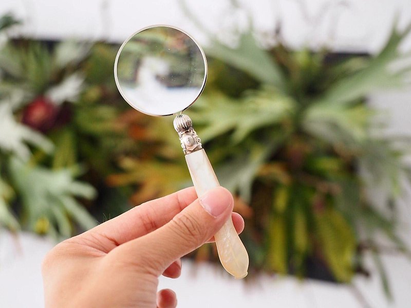 【SOLD OUT】British antique magnifying glass with mother-of-pearl handle - ของวางตกแต่ง - เปลือกหอย 