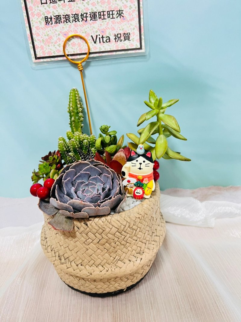 仿編織籃客製多肉組盆 開幕誌慶 新居落成 升官喬遷 婚禮 生日禮 - 植物/盆栽/盆景 - 陶 金色