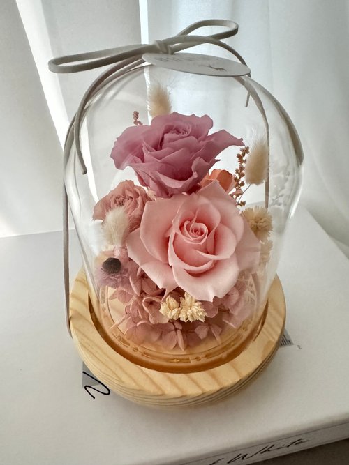 小鹿花巷 永生花玻璃花盅 夜燈 粉色款 贈送包裝禮盒和提袋