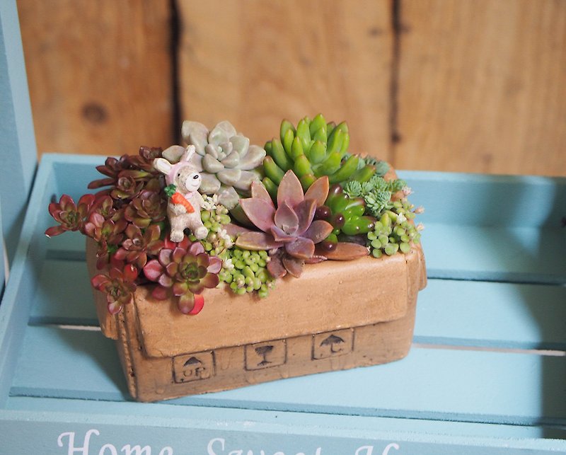 Healing Series | A box of love. Succulents or cactus group pot design - ตกแต่งต้นไม้ - ดินเผา 