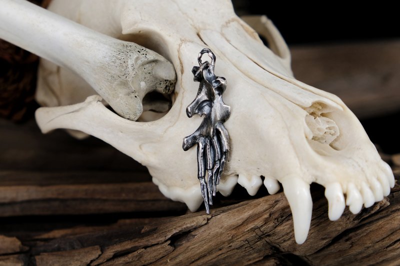 【山骸紀】骸羽墜—鳥類翅膀骨頭項鍊 - 項鍊 - 銀 銀色