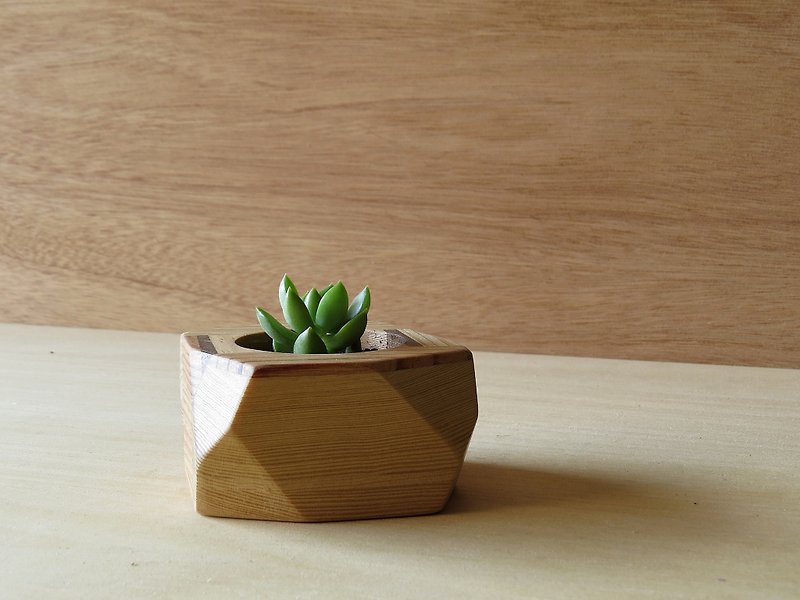 HO MOOD wood fight series - geometric potted plants - Plants - Wood Gold