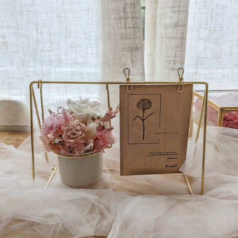 【Mother's Day Special】Pre-Order Immortal Carnation Swing Small Potted Flower Mother's Day Gift Box Immortal Flower - Dried Flowers & Bouquets - Plants & Flowers Pink