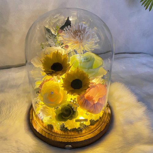 花木植物所 向日葵 永生花 小夜燈 玻璃盅(中) 限量