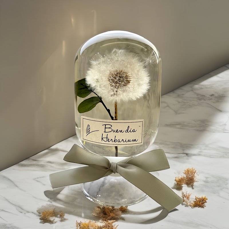 Dandelion herbarium preserved flowers dry flowers gift handmade - Dried Flowers & Bouquets - Plants & Flowers 