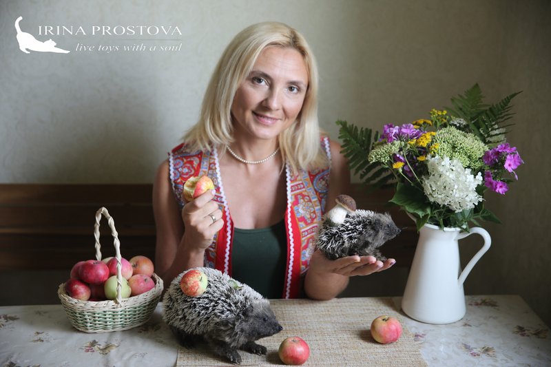 Hedgehogs family realistic toy. Ooak toy. Hedgehogs stuffed toys - 公仔/玩偶 - 其他材質 咖啡色