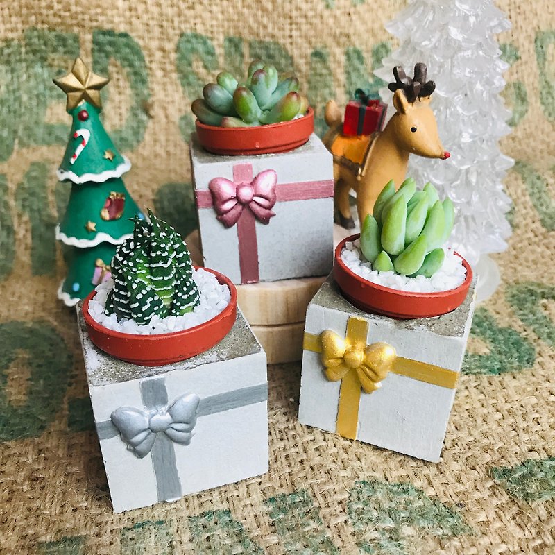 Exchange gift gift magnet succulent potted plant to send succulent - ตกแต่งต้นไม้ - ปูน หลากหลายสี