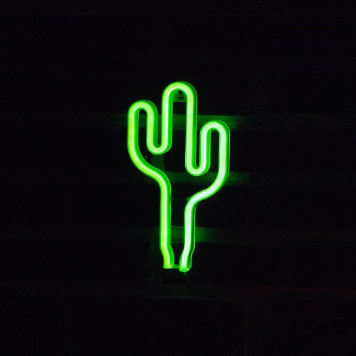 霓虹燈客制 Cactus仙人掌霓虹燈LED發光字Neon Sign裝飾廣告招牌Logo裝飾夜燈
