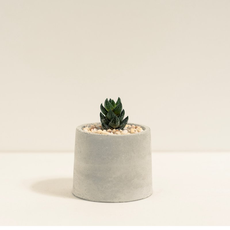九輪塔 │泥作系列│福所栽 - 盆栽/植栽 - 水泥 多色