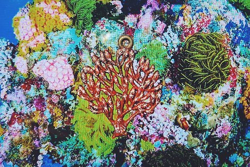 家の形 手繪墜子 - 軟珊瑚 / Alcyonacea / ウミトサカ