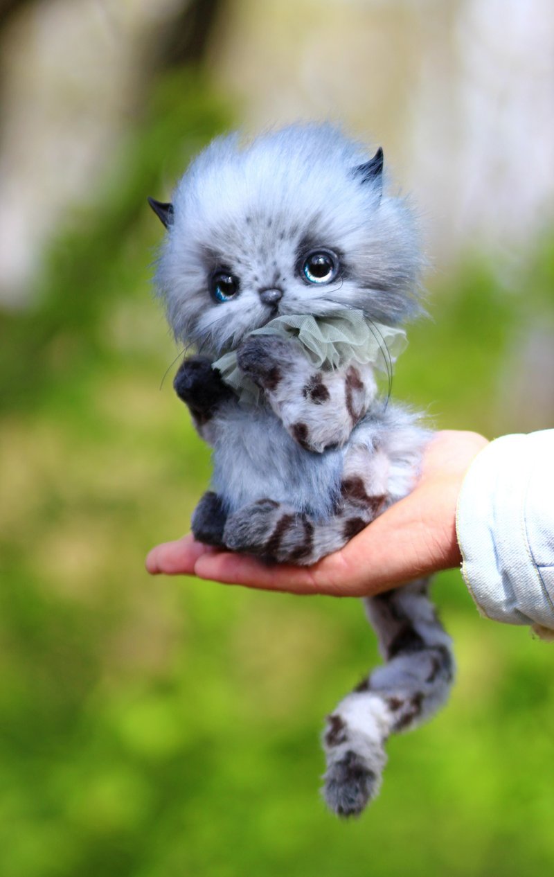 小貓達雅 - 公仔/玩偶 - 其他材質 灰色