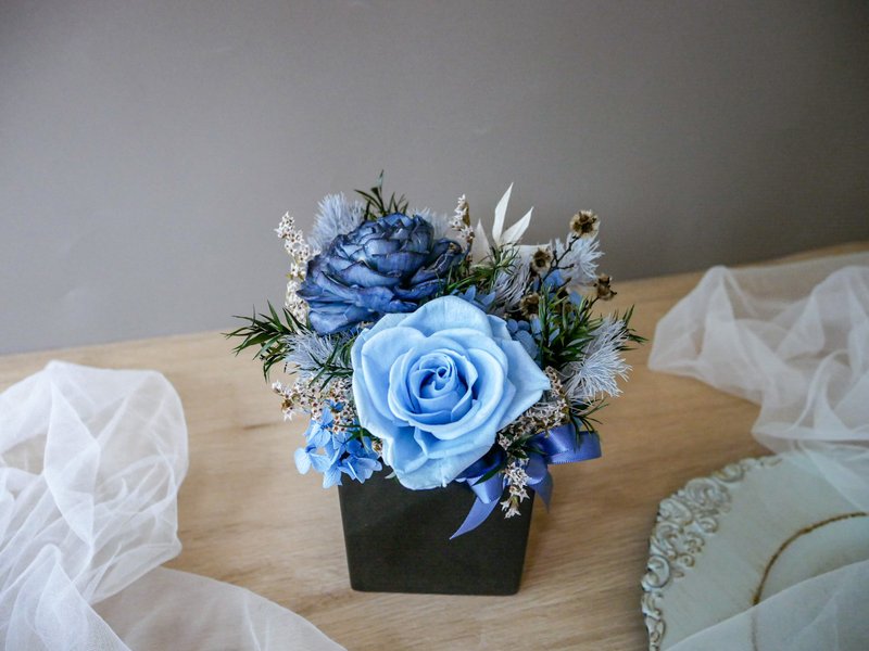 方盆中小型不凋花盆花【藍色情懷】開幕/辦公擺飾/藍色/畢業禮物 - 盆栽/植栽 - 植物．花 藍色