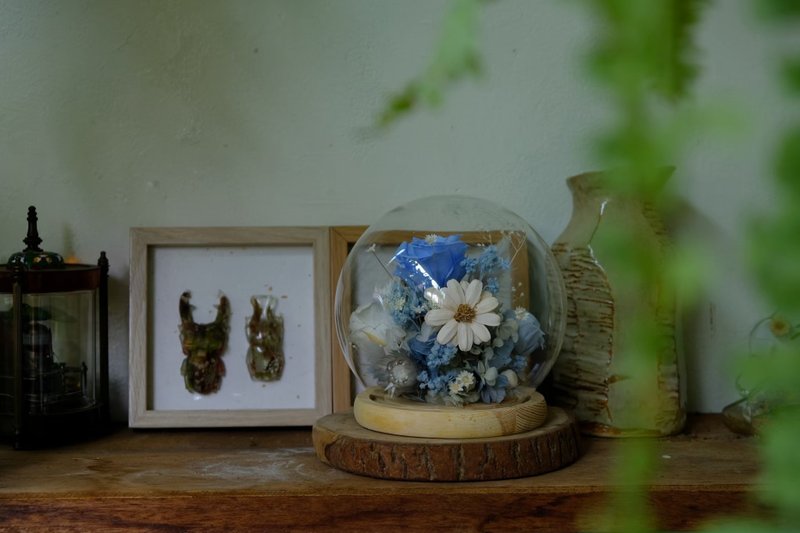 永生花 / 永生花盅 乾燥花 索拉花 擺飾 古典 告白 送禮 紀念禮物 - 乾燥花/永生花 - 植物．花 藍色