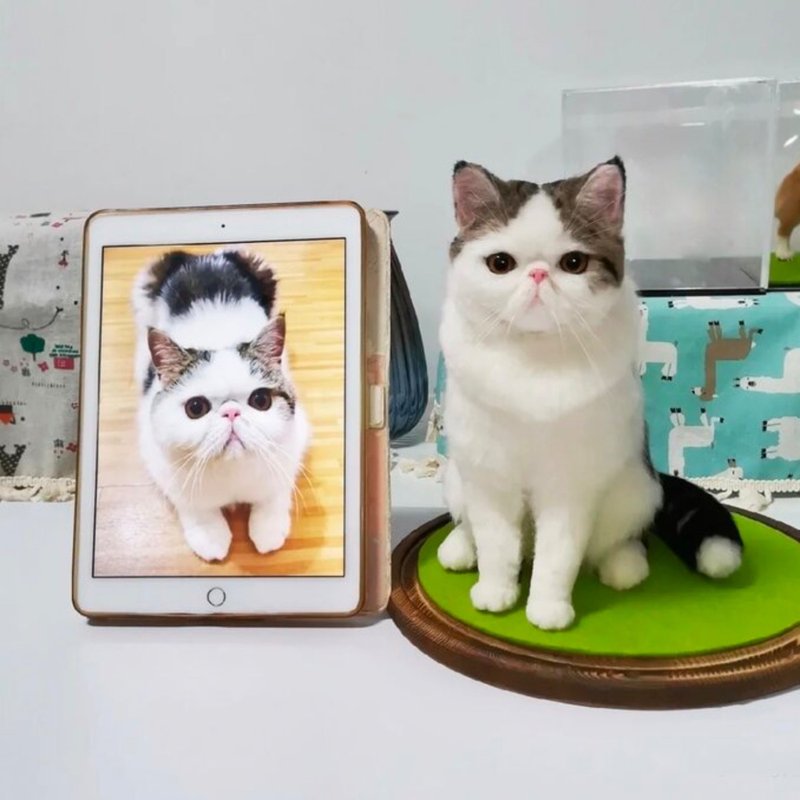 客製化逼真猫 羊毛氈 寵物 娃娃 定製 手工 狗狗猫咪 毛小孩  59 - 貓/狗玩具 - 羊毛 多色