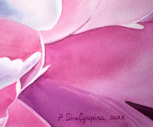 牡丹水彩画花オリジナルアート花の壁アートピンクアート