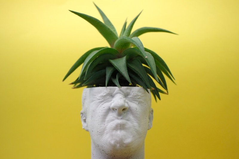 水泥盆器 多肉植物 -男子 - 盆栽/植栽 - 水泥 銀色