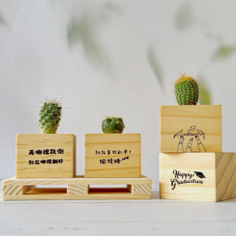 [Graduation Gift] Small Pine Wood Succulent Potted Succulent Mini Potted Plant - Plants - Wood Brown