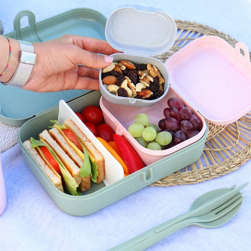 PASCAL L LUNCH BOX - Lunch Boxes - Eco-Friendly Materials Green