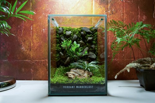 景觀丸藝 Verdant Wanderlust 【生態缸-石隱杜鵑】微景觀 室內植栽 禮物 辦公室擺設