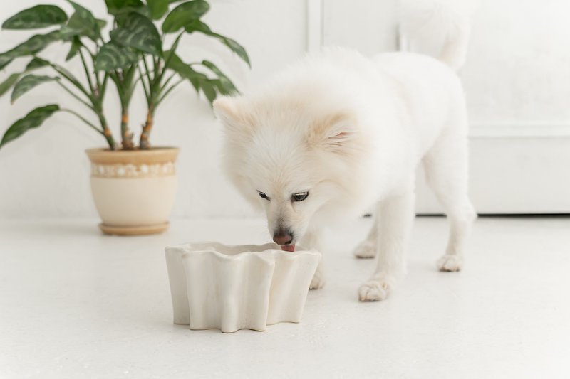 Ameba pet bowl  ペットボウル　食器スタンド　小型犬　中型犬　ネコ　陶器 - 寵物碗/碗架 - 陶 白色
