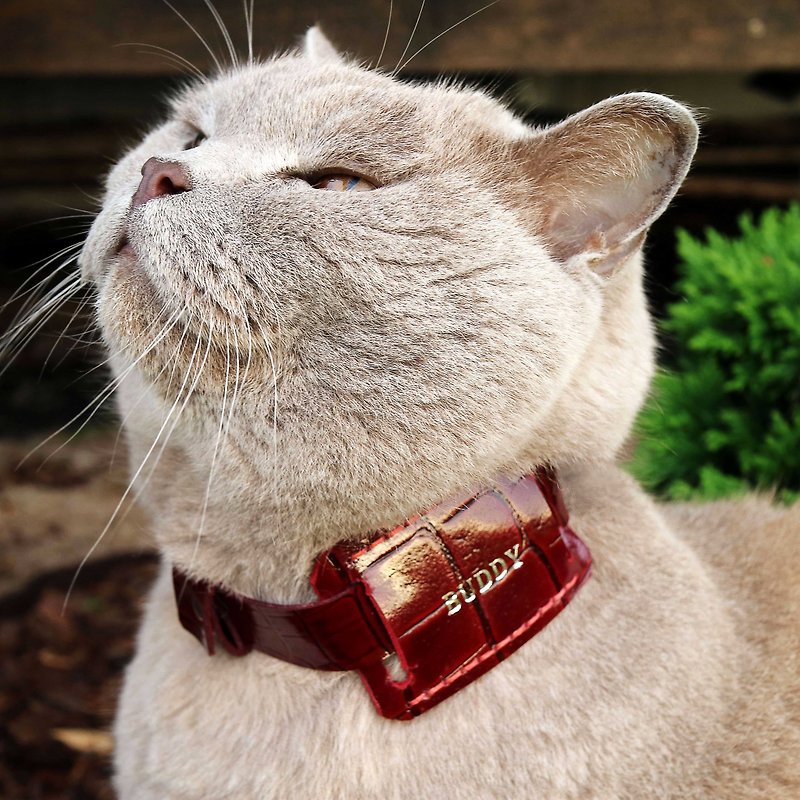 AirTag case - AirTag cat, dog collar - airtag holder - ปลอกคอ - หนังแท้ สีนำ้ตาล