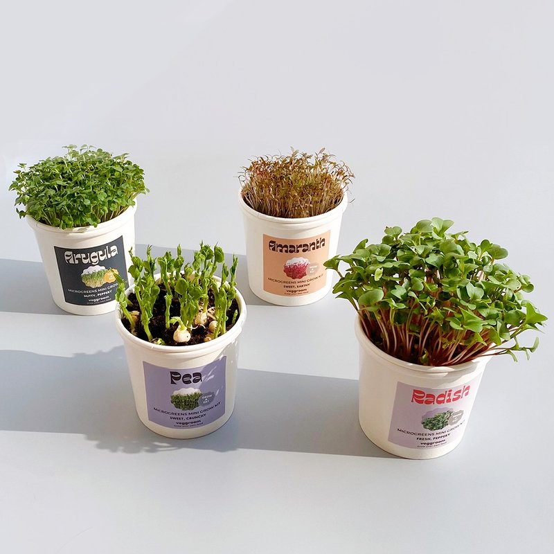 microgreens自動澆水種植杯種菜盆栽 環保植物禮物|企業大量定制 - 花藝/盆栽/植栽 - 紙 白色