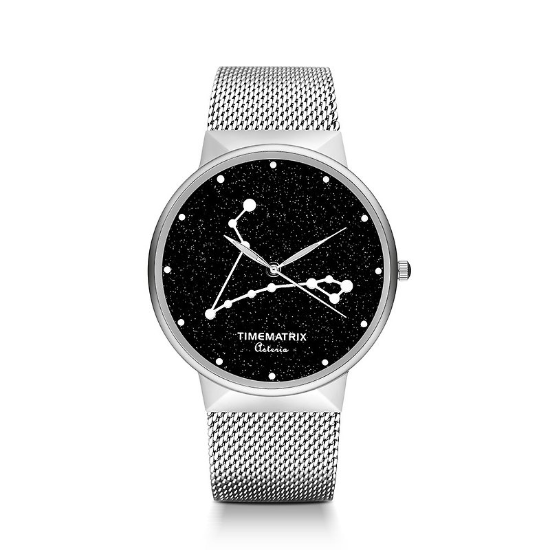 【丹麥星彩寶石】雙魚座 Time Matrix 星座創意時尚男女石英手錶 - 男錶/中性錶 - 不鏽鋼 銀色