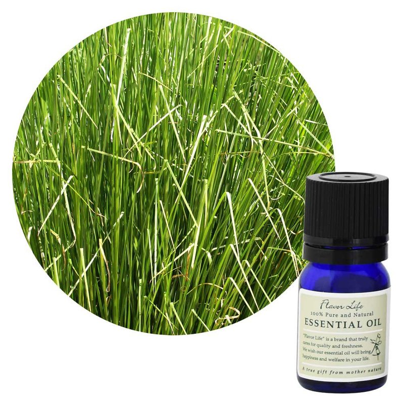 【岩蘭草精油】Vetiveria zizanoides (Vetiver) - 香氛/精油/擴香 - 精油 綠色