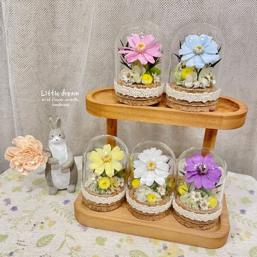 小夢境。Little Dream / 乾燥不凋花藝 | 小夢境花藝 | 永生花 小百日草 玻璃器皿 許願瓶 日本大地農園