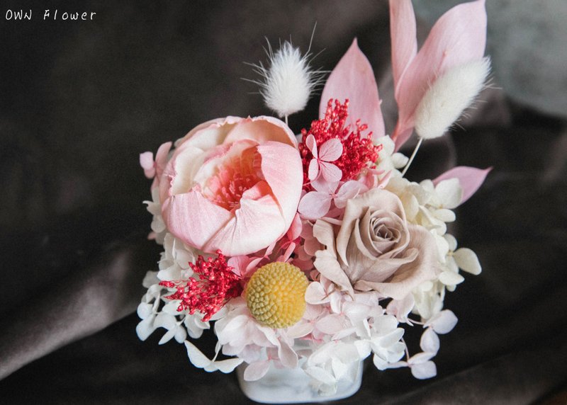 Everlasting potted flowers/everlasting flower table flowers/everlasting flower gifts/birthday gifts/everlasting flower gifts/store gift flowers - Dried Flowers & Bouquets - Plants & Flowers Pink