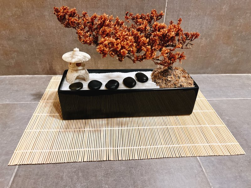 Pure natural Japanese style wabi-sabi Zen garden potted dry landscape zen dry - Plants - Plants & Flowers Orange